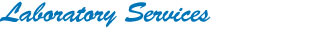 Dye Systems, Inc. Laboratory Services
